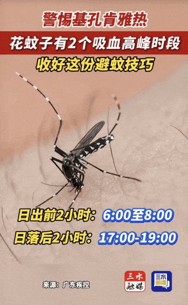 涉学校、公园、城中村<strong></p>
<p>瑞波币行情</strong>!深圳官方最新公布“黑窝点”