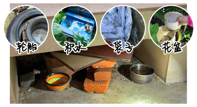 涉学校、公园、城中村<strong></p>
<p>瑞波币行情</strong>!深圳官方最新公布“黑窝点”