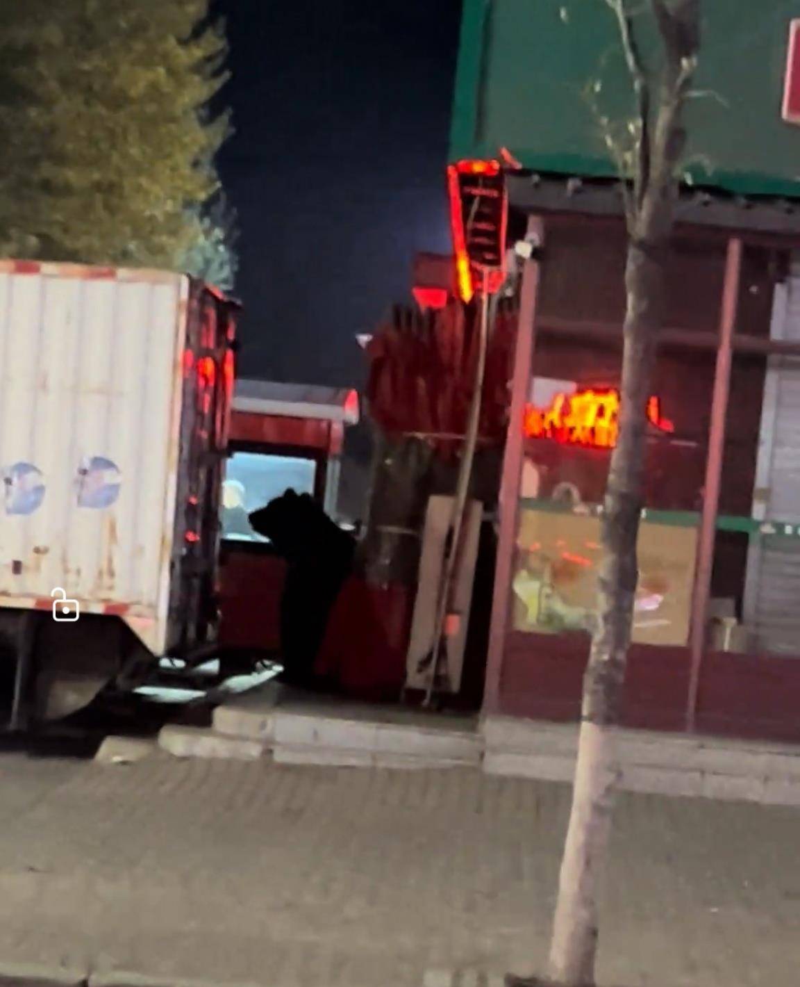 大黑熊夜里独闯黑龙江一县城闹市区<strong></p>
<p>瑞波币今日价格</strong>,警方连开10多枪击毙,回应为何没用麻醉枪