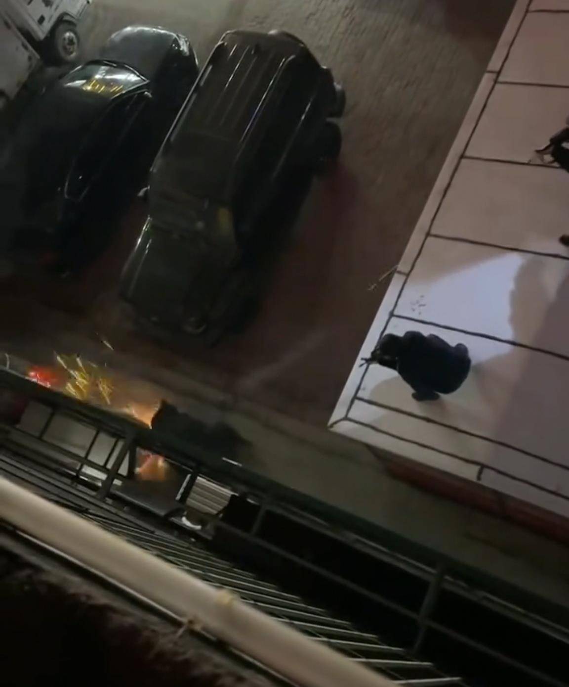 大黑熊夜里独闯黑龙江一县城闹市区<strong></p>
<p>瑞波币今日价格</strong>,警方连开10多枪击毙,回应为何没用麻醉枪