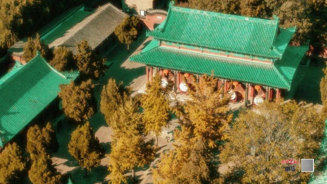 银杏金黄<strong></p>
<p>瑞波币今日价格</strong>!铺满焦作的秋天!