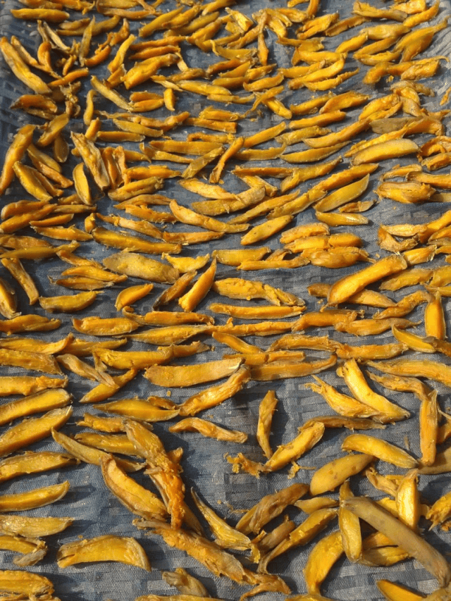 霜降至<strong></p>
<p>瑞波币今日价格</strong>,气温会有反转吗?