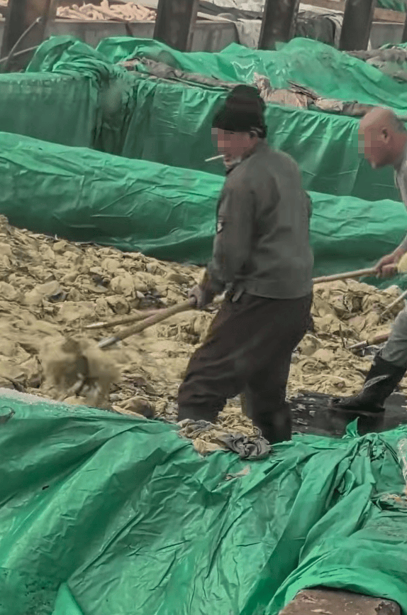 辽宁葫芦岛一男子酸菜池中抽烟吐痰<strong></p>
<p>瑞波币实时价格行情</strong>,曝光视频令人反胃!省市两级市监介入