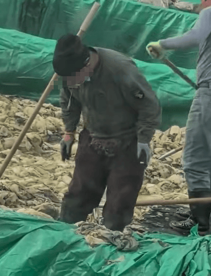 辽宁葫芦岛一男子酸菜池中抽烟吐痰<strong></p>
<p>瑞波币实时价格行情</strong>,曝光视频令人反胃!省市两级市监介入