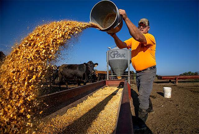 又输给了李成钢<strong></p>
<p>瑞波币实时价格行情</strong>,贝森特承诺:美方不再考虑对华加征100%关税