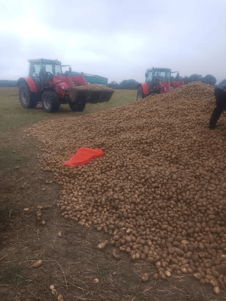 波兰68岁农民收获的150吨土豆被一夜搬空<strong></p>
<p>瑞波币实时价格行情</strong>, 只因帖子遭篡改