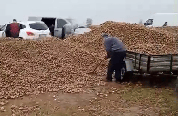 波兰68岁农民收获的150吨土豆被一夜搬空<strong></p>
<p>瑞波币实时价格行情</strong>, 只因帖子遭篡改