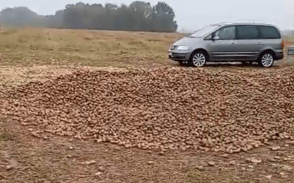 波兰68岁农民收获的150吨土豆被一夜搬空<strong></p>
<p>瑞波币实时价格行情</strong>, 只因帖子遭篡改