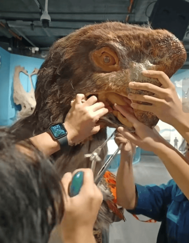 被卡住了<strong></p>
<p>瑞波币实时价格行情</strong>!广州一游客把手伸进恐龙模型嘴中