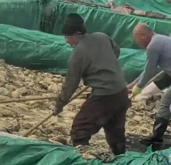 男子在酸菜池内抽烟吐痰<strong></p>
<p>瑞波币今日行情价</strong>,官方通报!