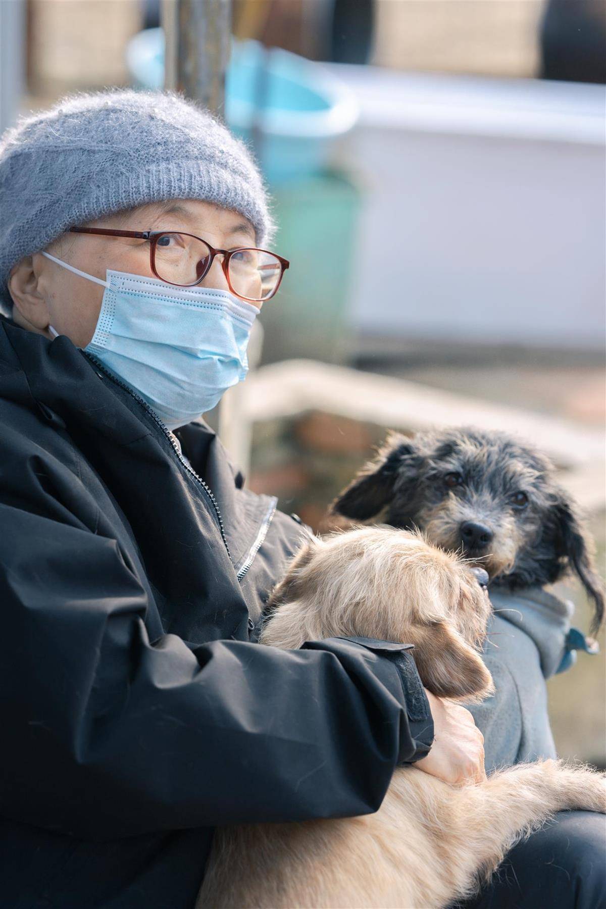 合肥卖房救助流浪狗的魏阿姨离世<strong></p>
<p>屎币</strong>,病中仍然惦记着基地的600只流浪狗,工人:不敢相信世上还有这样执着的人