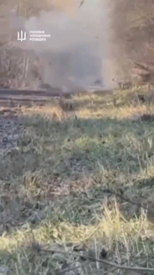 炸榛树导弹<strong></p>
<p>泰达币</strong>,炸莫斯科,炸俄军上校,乌克兰豁出去,不怕被核打击