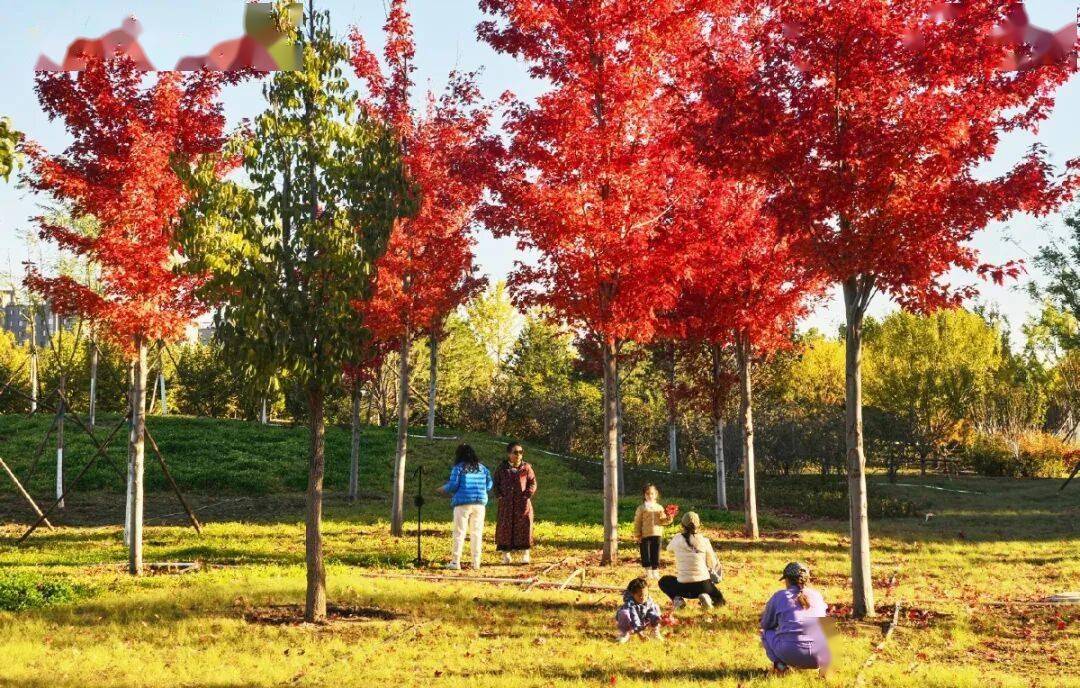 北京新添一个超美大公园<strong></p>
<p>usdt泰达币</strong>!占地超300亩