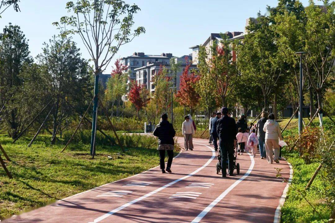 北京新添一个超美大公园<strong></p>
<p>usdt泰达币</strong>!占地超300亩