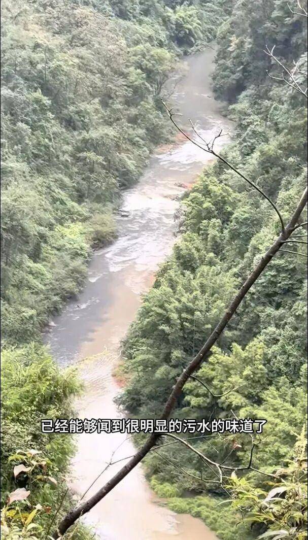 重庆通报:坚决查处<strong></p>
<p>aicoin</strong>,绝不姑息