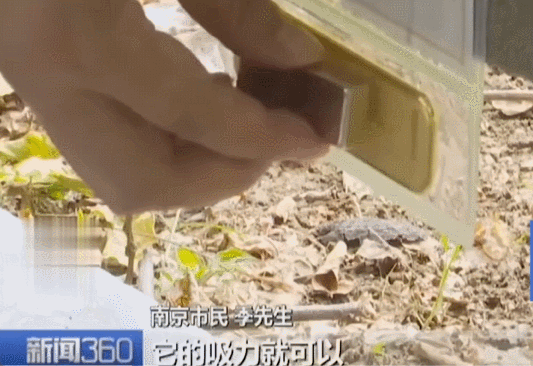 不是慢镜头!福建舰电磁弹射速度那么快<strong></p>
<p>avax</strong>,是怎么瞬间刹车的?