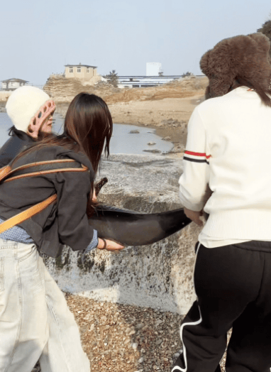 女大学生在大连海边拍摄素材<strong></p>
<p>币安binance官网</strong>,却意外发现已死亡的它