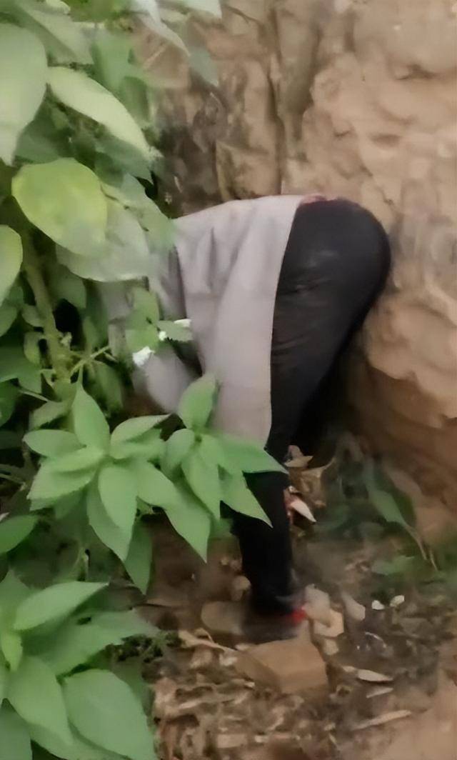 女子疑因拍亲姑姑偷玉米遭姑父棍杀<strong></p>
<p>binance官网</strong>，邻居欲报警也遇害