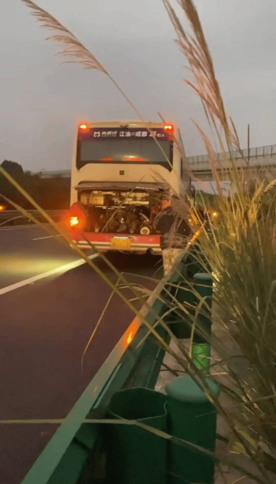 48名乘客被困高速2.5小时<strong></p>
<p>binance官网</strong>!运营公司致歉