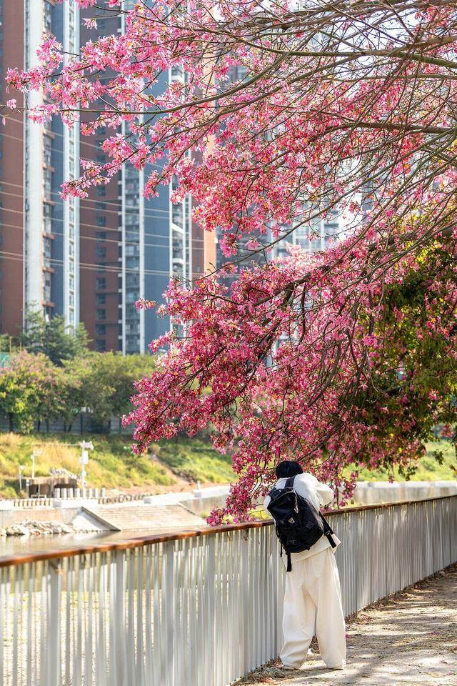 “广东人快被风干啦”!又有冷空气造访<strong></p>
<p>币安binance</strong>,“只降温不降雨”模式持续 | 温度记