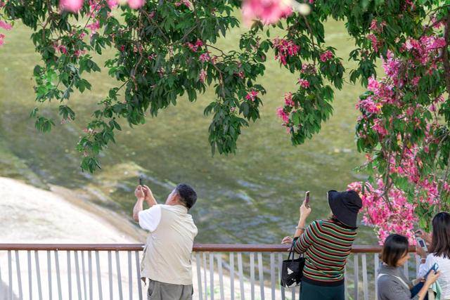 “广东人快被风干啦”!又有冷空气造访<strong></p>
<p>币安binance</strong>,“只降温不降雨”模式持续 | 温度记