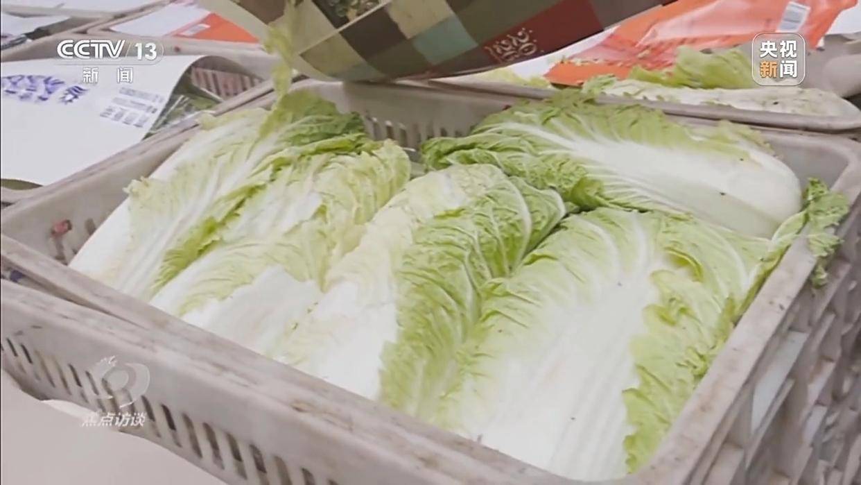 单棵售价超百元<strong></p>
<p>binance交易所</strong>,起底“套牌白菜”背后的销售套路