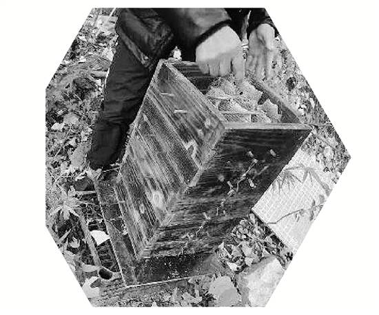 两派蜜蜂打群架,伤亡惨重 民警:别打了,赔钱赔蜂蜜