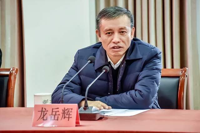 主动投案<strong></p>
<p>usdc</strong>,国家税务总局浙江省税务局原党委书记、副局长龙岳辉接受审查调查