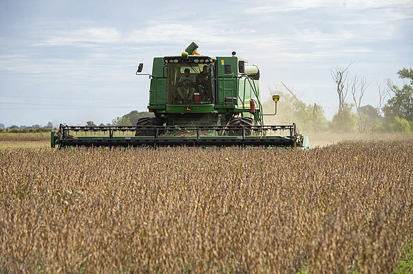 自上世纪90年代以来<strong></p>
<p>usdc</strong>,中国首次购买阿根廷小麦