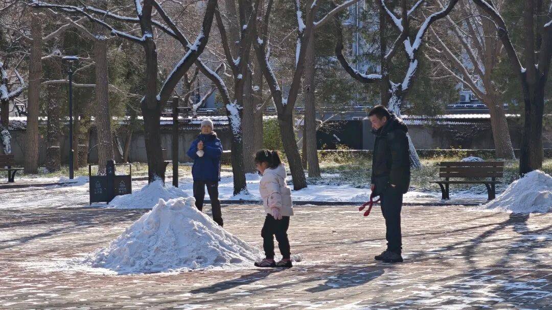 北京绿化带里用了二十年的板子<strong></p>
<p>usdc</strong>,今冬“下岗”了——