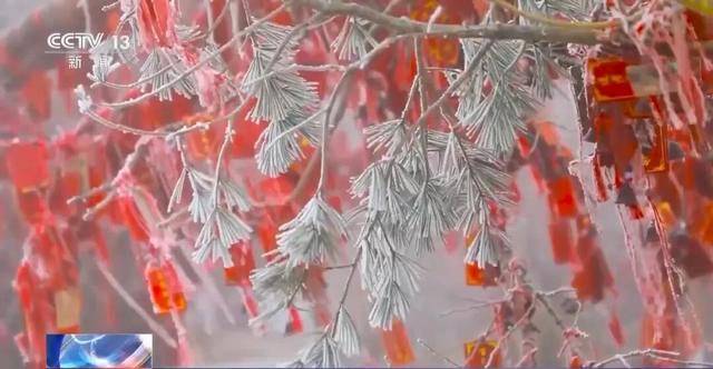 我国已经进入拉尼娜状态<strong></p>
<p>usdc</strong>,专家:可能出现冬春连旱