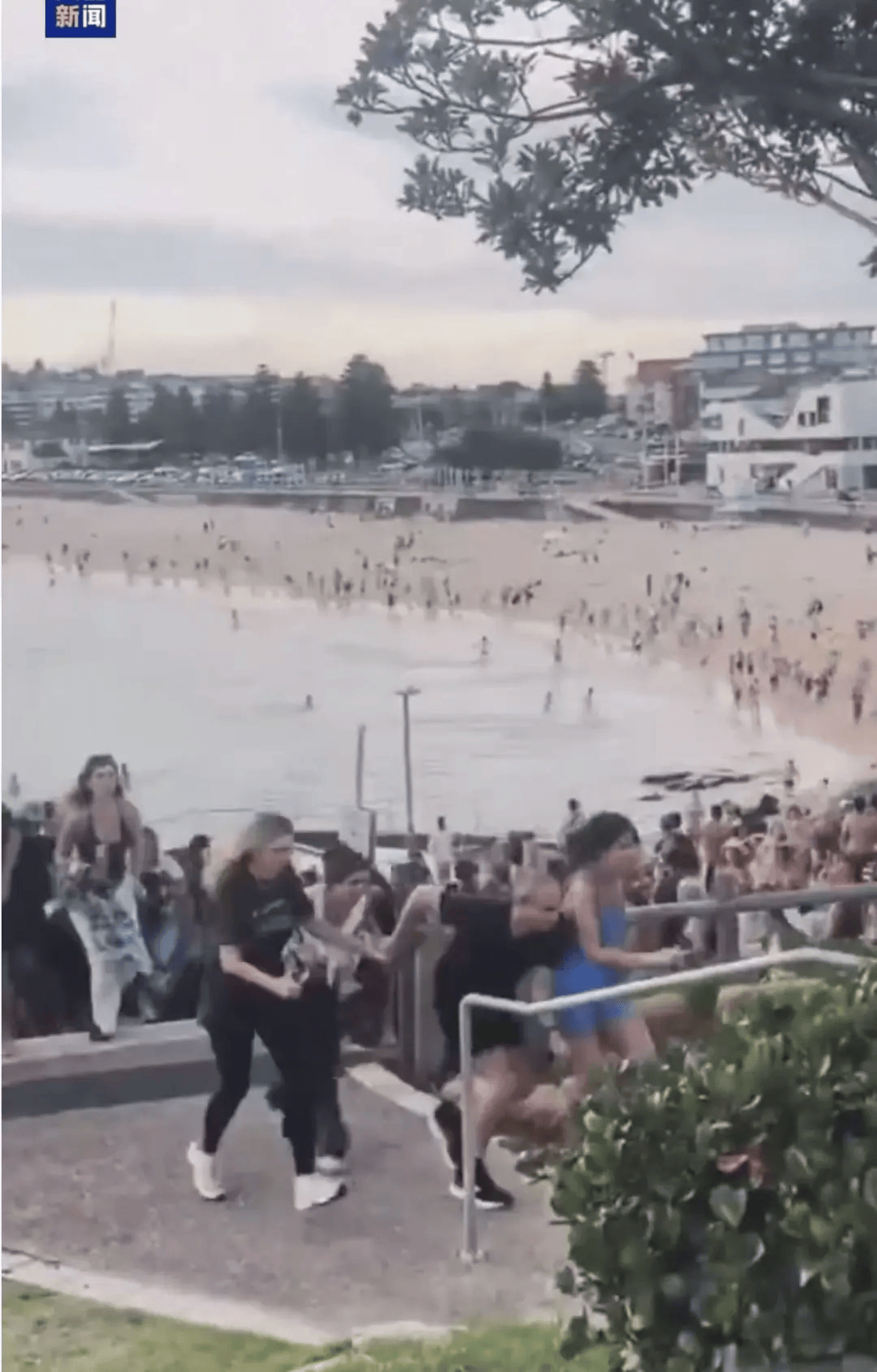 澳大利亚海滩枪击事件两名枪手为父子关系<strong></p>
<p>usdc</strong>,父亲50岁,儿子24岁!一名路人冒险夺枪反击,身中两弹,需接受手术