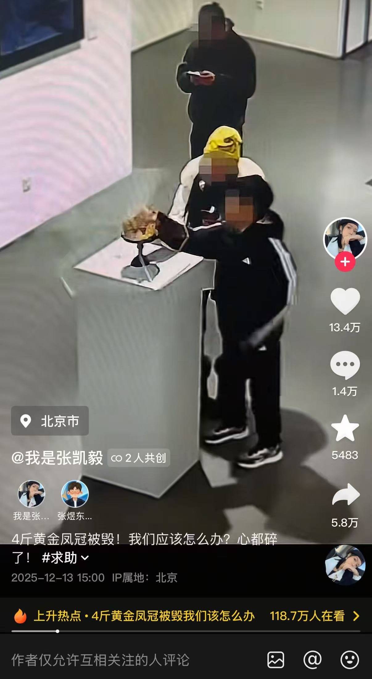 4斤黄金凤冠在免费展览中被男童触碰损坏<strong></p>
<p>usdc</strong>，办展美术馆：罩子是没有固定的，律师分析