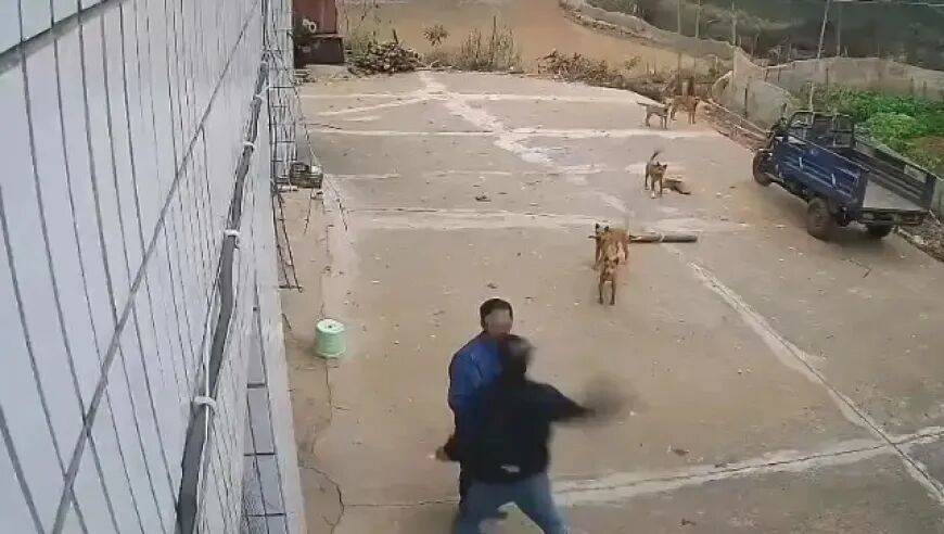 男子家门口吃橘子被邻居一拳打昏<strong></p>
<p>usdc币</strong>,警方通报:因养狗问题起冲突,均有受伤