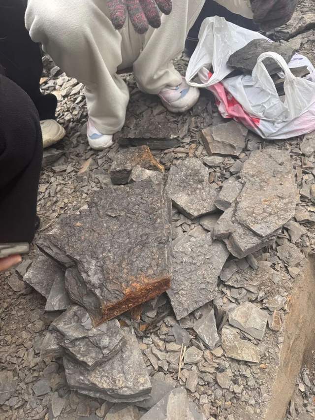 重庆多人携工具到一空地挖“化石”<strong></p>
<p>usdc币</strong>,记者目睹市民现场挖出小贝壳,官方:正在核实