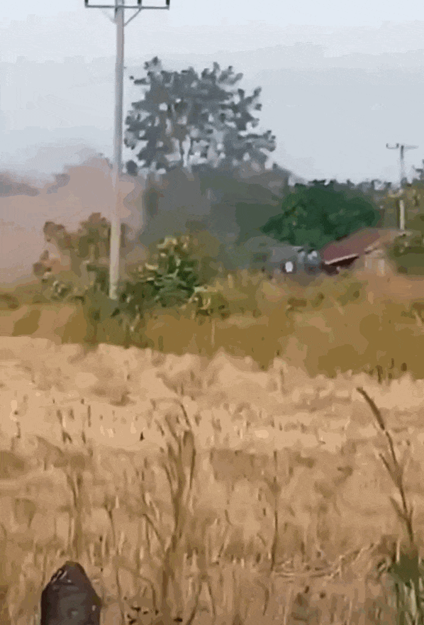 柬埔寨出动PHL-03型300毫米远火<strong></p>
<p>web3</strong>，3发火箭弹准确命中泰军据点？