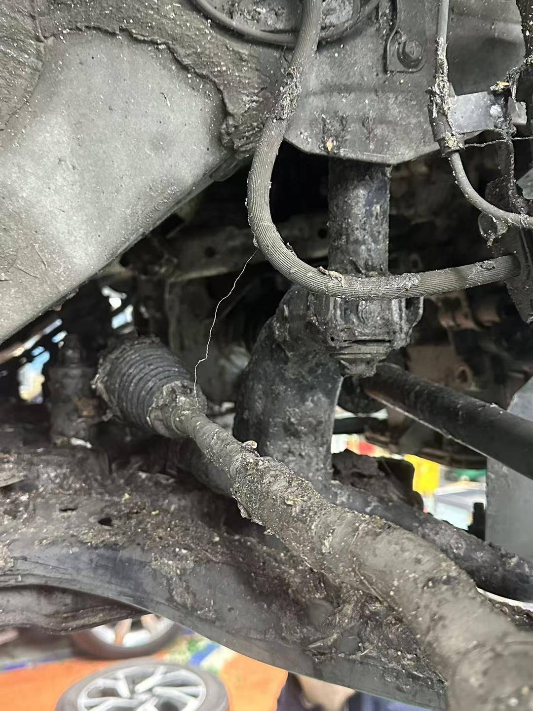 紫牛头条|40余车辆遭高速海鲜废料“臭袭”<strong></p>
<p>xlm币</strong>,交警称“非交通事故”,车主维权陷两难