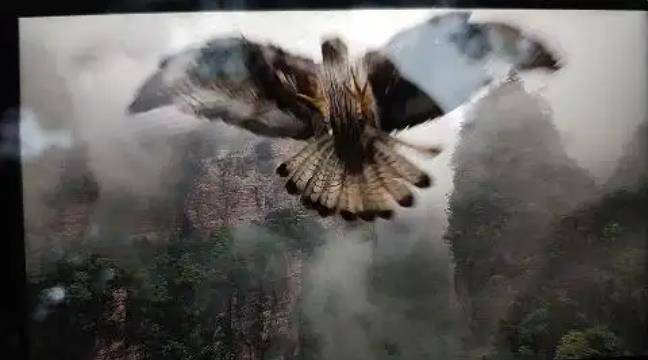 土耳其老鹰空中抓走无人机<strong></p>
<p>xrp瑞波币最新消息</strong>，带上山顶“玩自拍”