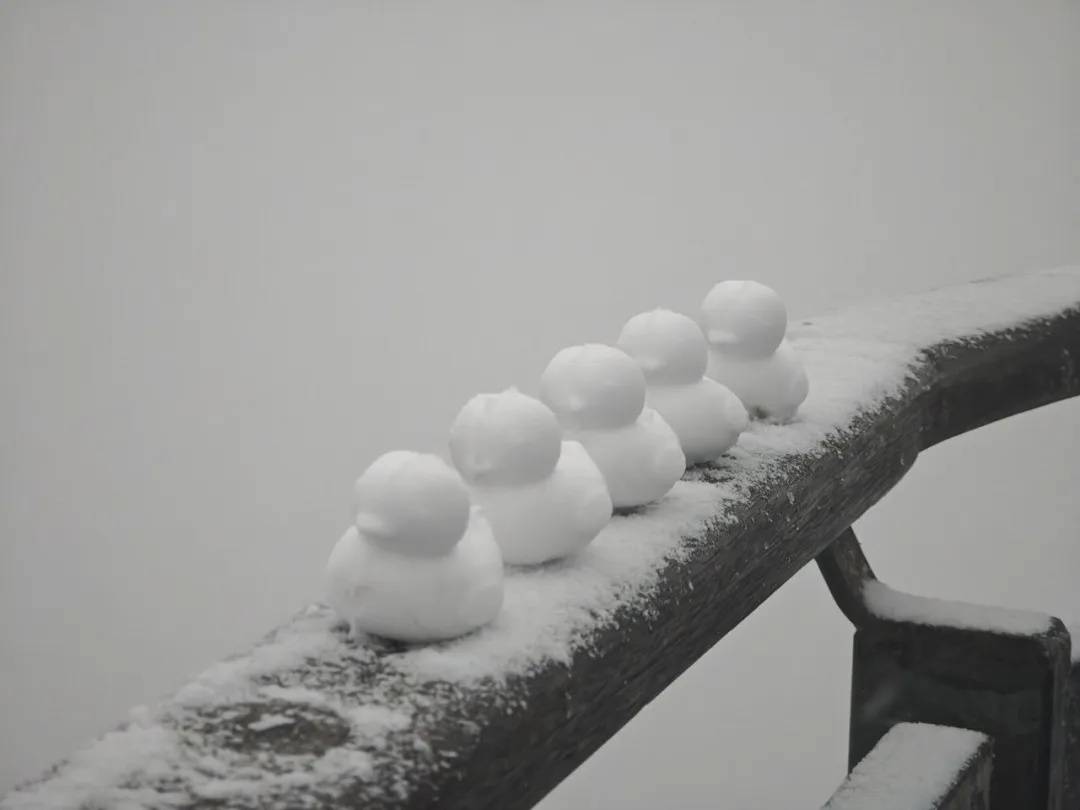 直降10℃<strong></p>
<p>aave</strong>！南京又要下雪了