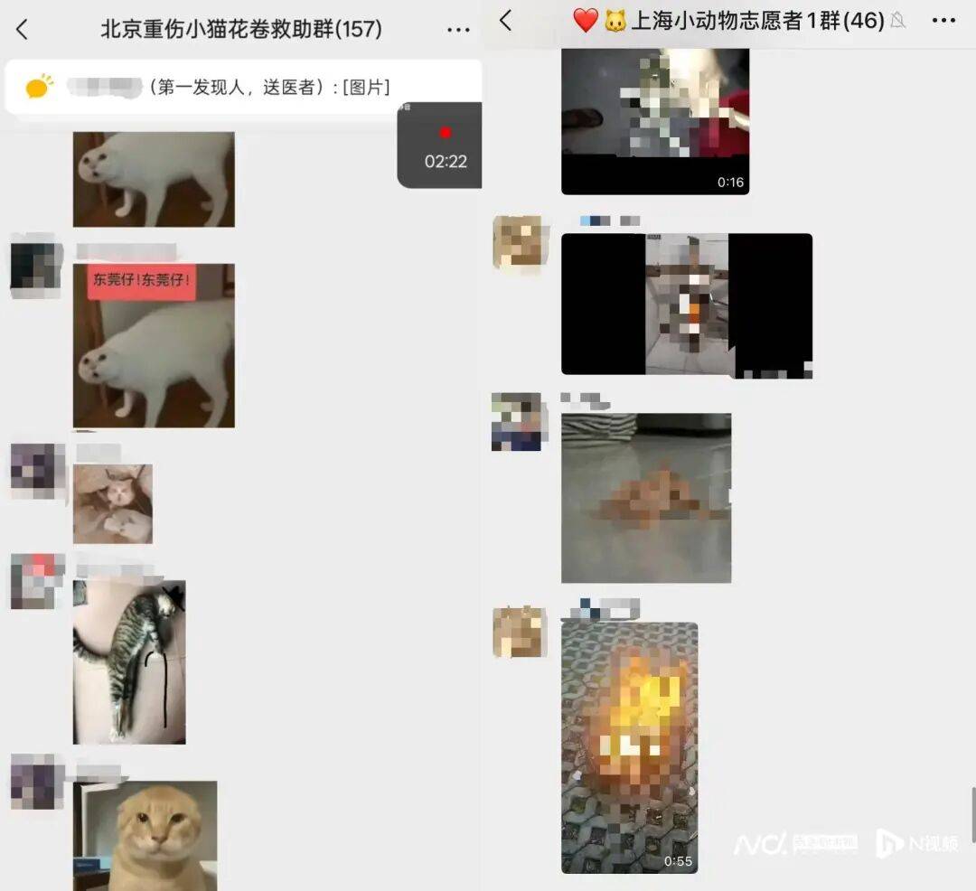 被指惨不忍睹！微信群涌入大量不明人士<strong></p>
<p>白银现货平台</strong>，突然“炸群”！广东一地警方介入