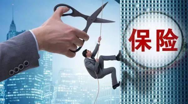 证券与保险(证券属于保险吗)