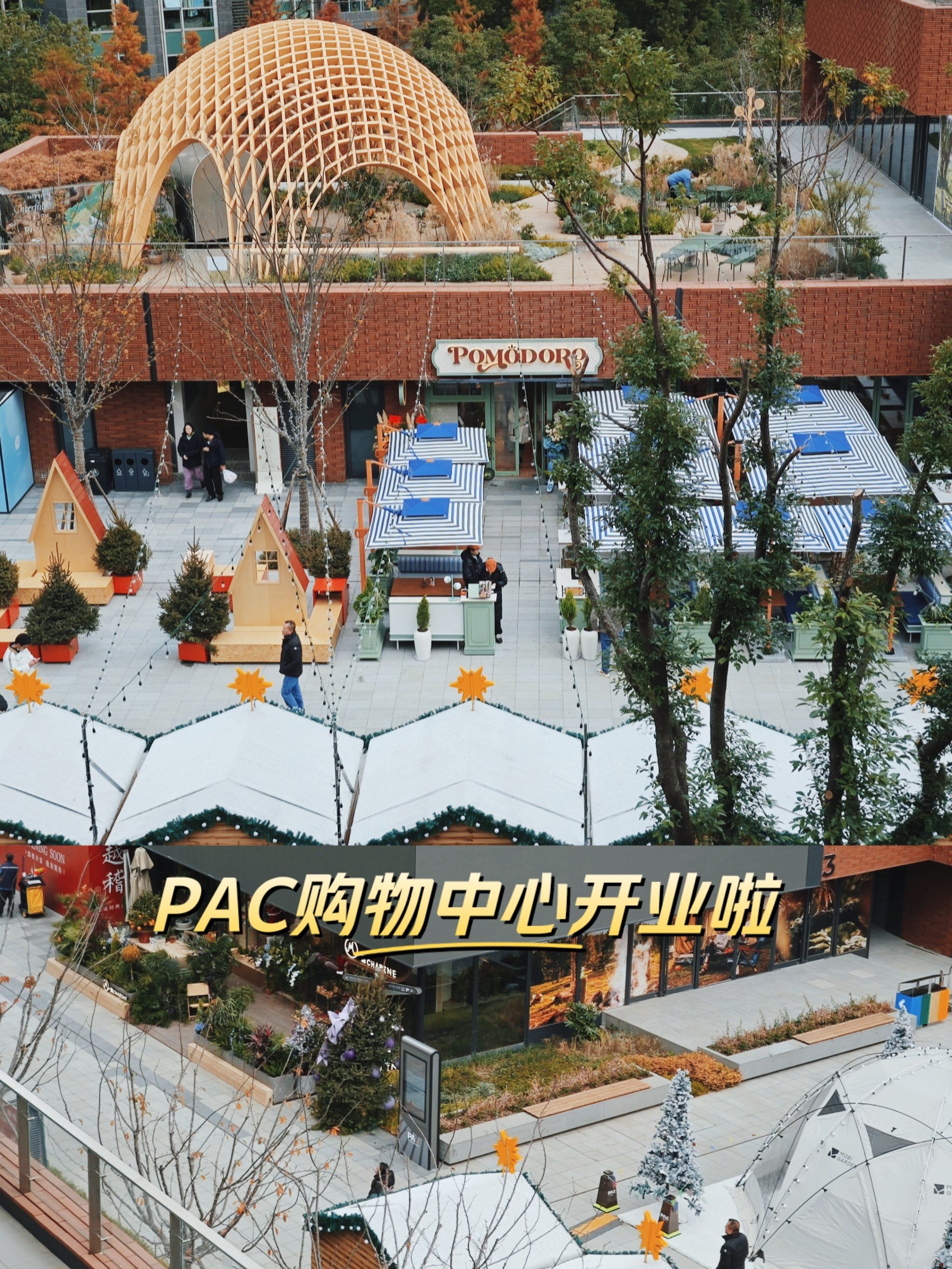 OSL交易所(香港osl交易所)